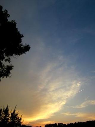 2013-07-29 16:36:04
