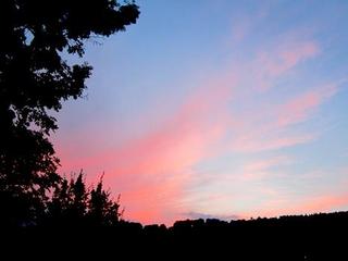 2013-07-29 16:36:38