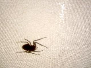 2013-07-29 16:36:56
