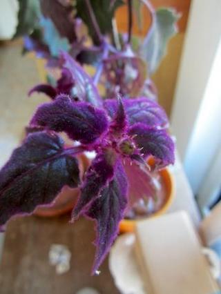 2013-07-29 16:39:16