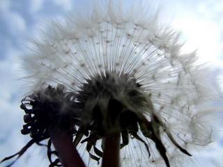 2013-06-25 22:36:45