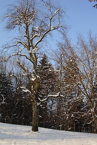 2013-02-27 21:47:14