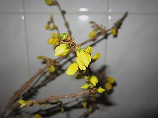 2013-02-27 21:24:32