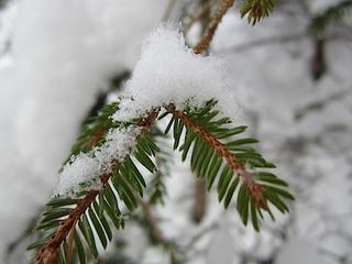 2013-02-27 21:27:39