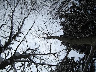 2013-02-27 21:28:44