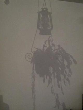 2013-04-29 23:05:43