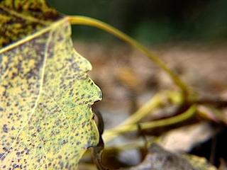 2014-10-08 06:37:39
