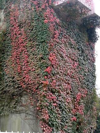 2014-10-08 06:38:57