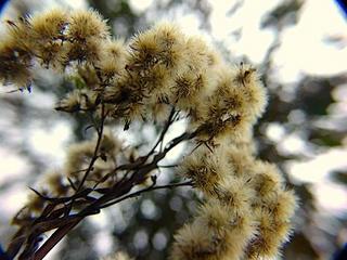 2014-10-08 06:41:24