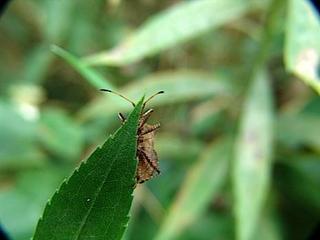 2014-10-08 06:42:52