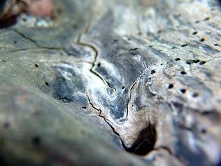 2014-10-08 06:43:52