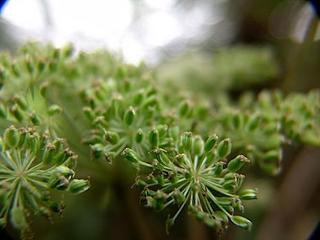 2014-10-08 06:46:57
