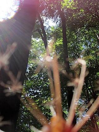 2014-10-08 08:22:40