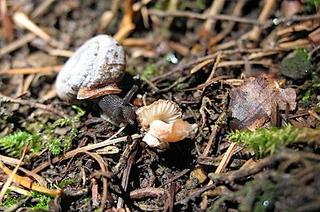 2014-10-08 08:24:30