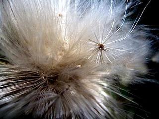 2014-10-08 08:28:53