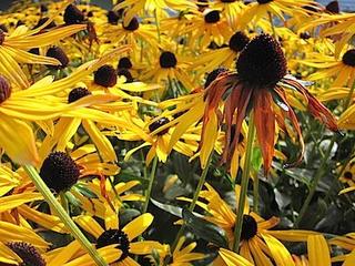 2014-10-08 08:31:35