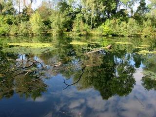 2014-10-08 08:33:10