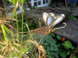 2014-10-08 09:14:47