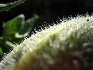2014-10-08 09:15:12
