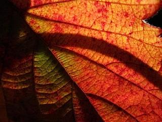 2014-10-08 09:15:38
