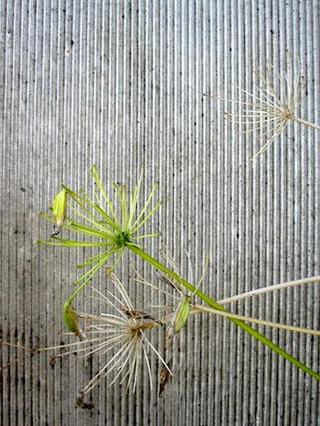2014-10-08 09:17:15