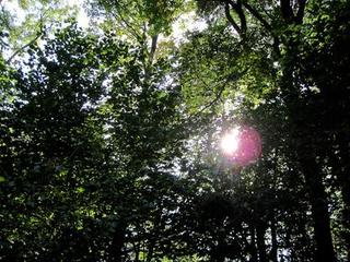 2014-10-08 09:24:39