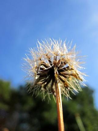 2014-10-08 09:28:26