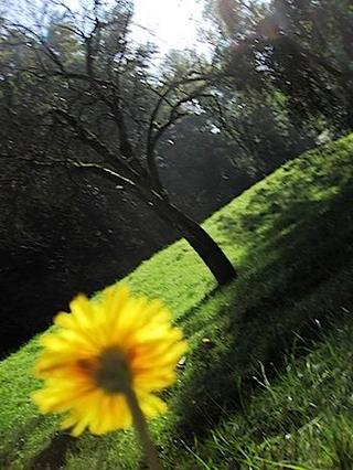 2014-10-08 09:32:49