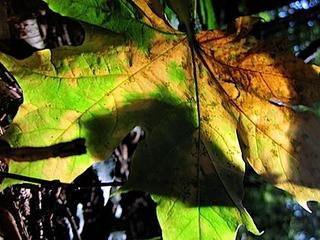 2014-10-08 09:56:47