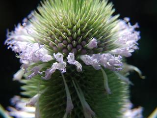 2014-08-13 21:29:07