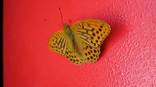 2014-08-13 19:59:48