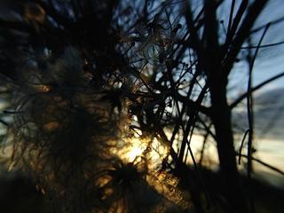 2015-01-05 00:36:37