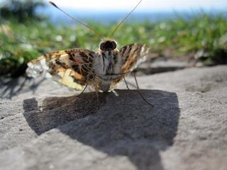 2015-08-27 17:43:37