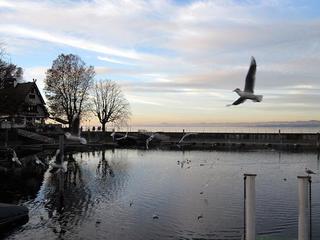 2015-11-28 18:16:29