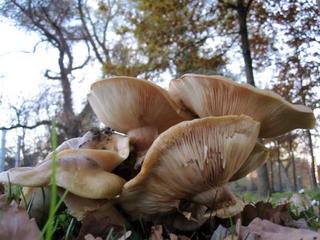 2015-11-28 18:20:31