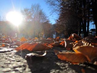 2015-11-28 18:21:15