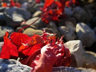 2015-11-28 18:21:39