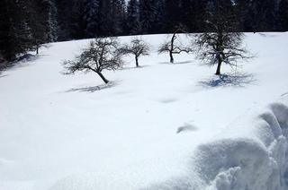 2015-02-26 22:10:01