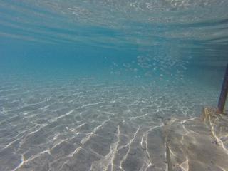 2015-11-01 12:31:08