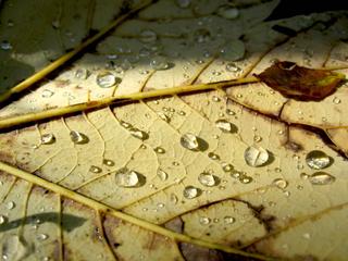 2015-11-01 12:37:32