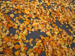 2015-11-01 12:38:30