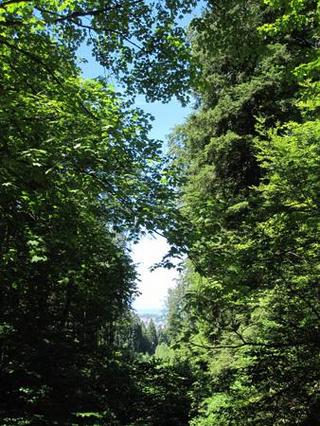 2016-07-29 17:29:42