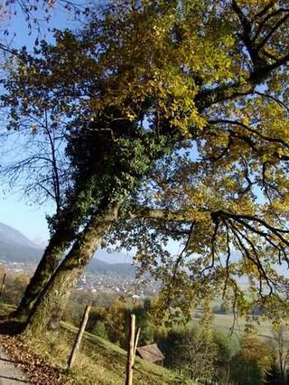 2013-01-16 18:13:47
