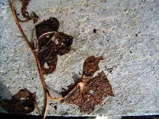 2013-01-16 18:29:32
