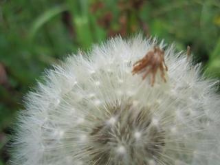 2016-06-30 17:53:15