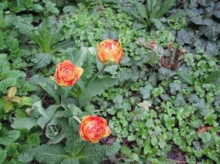 2016-04-27 20:23:08