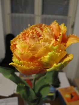 2016-04-27 20:23:20