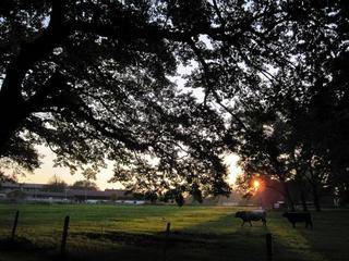 2016-09-27 19:58:26