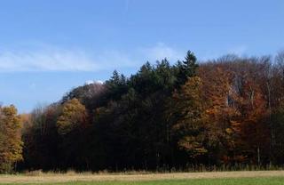 2008-11-30 20:12:39