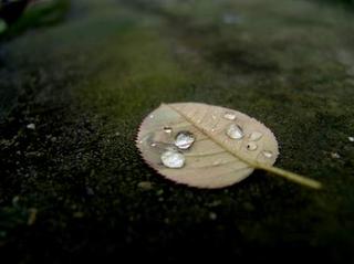 2008-11-30 20:20:26